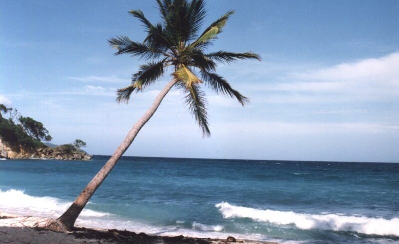 Cayo Levantado, Samana