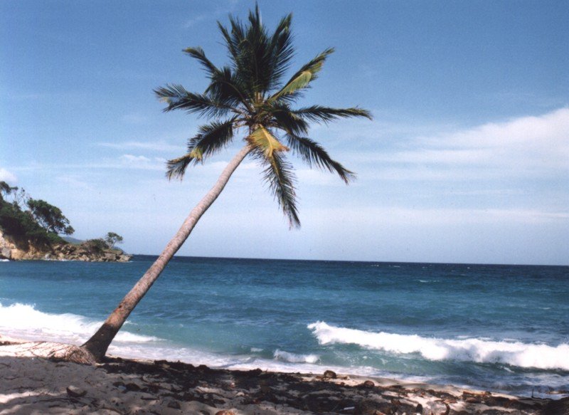 Cayo Levantado, Samana