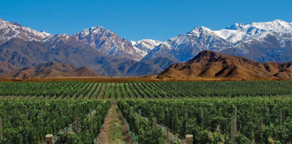cuyo-wp3119486-mendoza-wallpapers