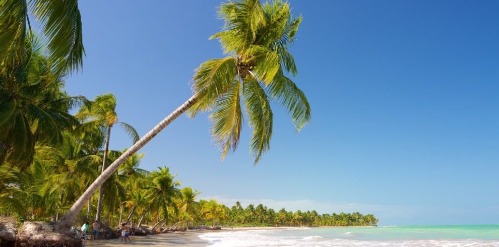 maceio
