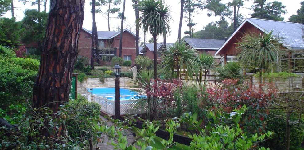 Carilo, chalets entre pinares (foto principal)