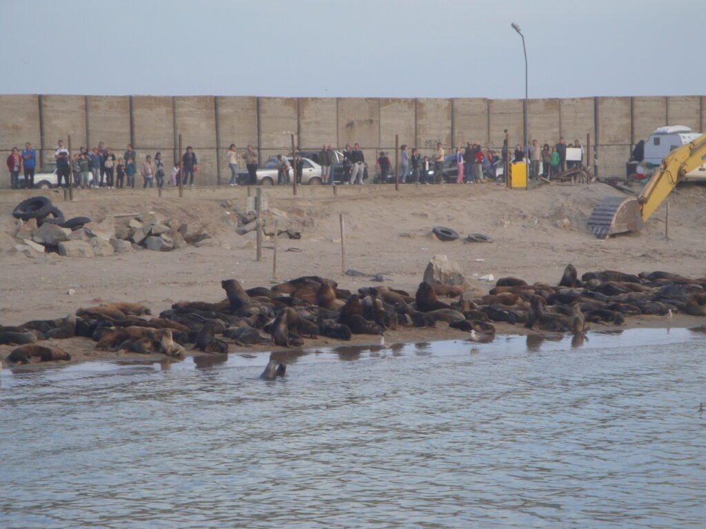 Mar del Plata