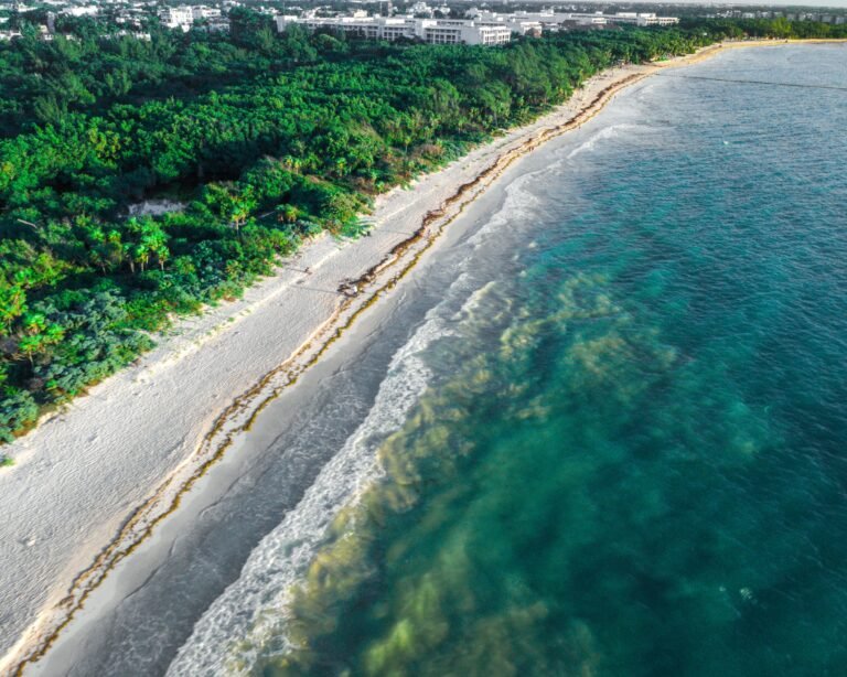 Playa del Carmen