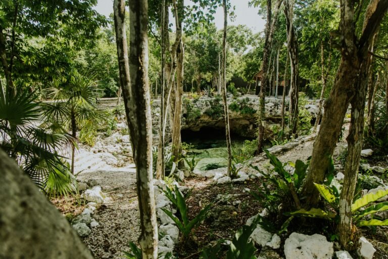 Riviera Maya