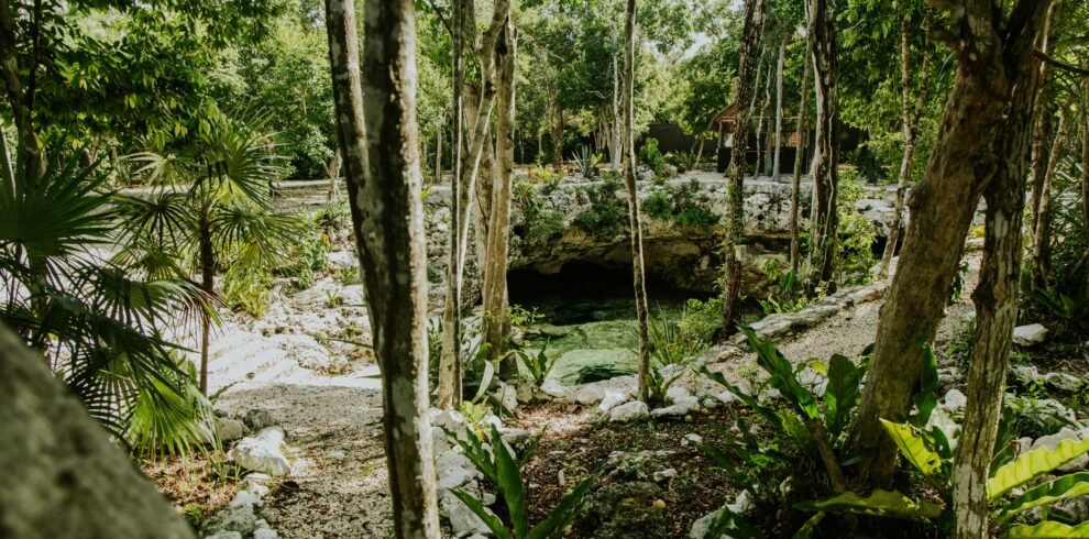Riviera Maya cenote